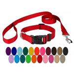 dog leash and collar set